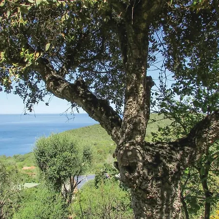 3 Bedroom In Vecchio * Porto-Vecchio (Corsica)